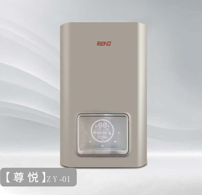 دیگ ترکیبی چگالشی 20kw 24kw گاز طبیعی Lpg